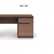 BRW ``JULY`` BIU/120